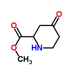 2-Piperidinecarboxylicacid,4-oxo-,methylester(9CI) Structure