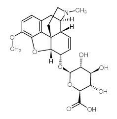 C-6-G HYDRATE-TRIFLUOROACETATE structure