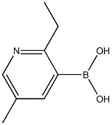 5-Methyl-2-ethylpyridine-3-boronic acid图片