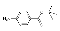 Pyrazinecarboxylic acid, 5-amino-, 1,1-dimethylethyl ester (9CI) Structure