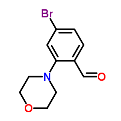 4-溴-2-(N-吗啉基)苯甲醛结构式