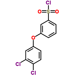 [3-(3,4-DICHLOROPHENOXY)PHENYL]SULFONYL CHLORIDE结构式