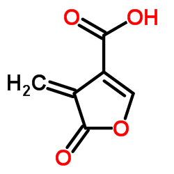 4-Methylene-5-oxo-4,5-dihydro-3-furancarboxylic acid结构式