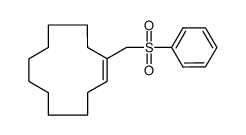 1-((phenylsulfonyl)methyl)cyclododec-1-ene Structure