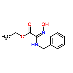 Ethyl (2E)-(benzylamino)(hydroxyimino)acetate Structure