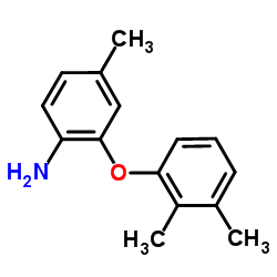 2-(2,3-Dimethylphenoxy)-4-methylaniline Structure