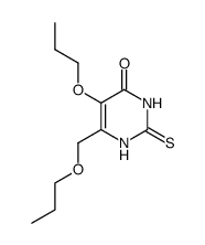 5-propoxy-6-propoxymethyl-2-thioxo-2,3-dihydro-1H-pyrimidin-4-one结构式