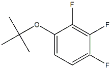 2,3,4-Trifluorophenyl-tert-butyl-ether结构式