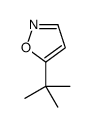 5-tert-butyl-isoxazole structure