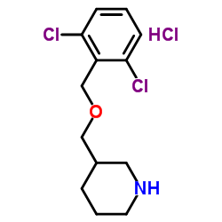 3-{[(2,6-Dichlorobenzyl)oxy]methyl}piperidine hydrochloride (1:1)图片