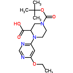 4-(6-Ethoxy-pyrimidin-4-yl)-piperazine-1,3-dicarboxylic acid 1-tert-butyl ester结构式