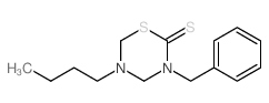 2H-1,3,5-Thiadiazine-2-thione,5-butyltetrahydro-3-(phenylmethyl)- Structure