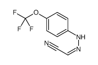 (2E)-2-[[4-(trifluoromethoxy)phenyl]hydrazinylidene]acetonitrile结构式