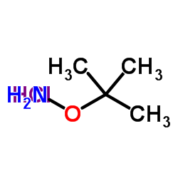 O-(tert-Butyl)hydroxylamine hydrochloride structure