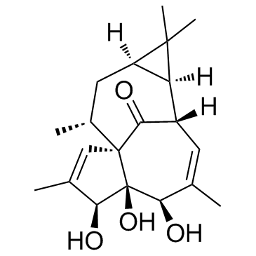 20-Deoxyingenol picture