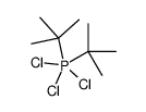ditert-butyl(trichloro)-λ5-phosphane结构式