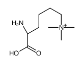 [(5S)-5-amino-5-carboxypentyl]-trimethylazanium结构式