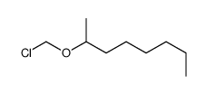 2-(chloromethoxy)octane Structure