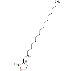 N-[(3S)-2-Oxotetrahydro-3-furanyl]hexadecanamide structure