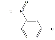 1-tert-Butyl-4-chloro-2-nitro-benzene structure