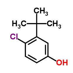 4-Chloro-3-(2-methyl-2-propanyl)phenol Structure