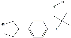 3-(4-叔丁氧苯基)吡咯烷盐酸盐结构式