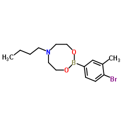 4-Bromo-3-methylphenylboronic acid N-butyldiethanolamine ester Structure