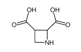 2,3-Azetidinedicarboxylicacid(9CI)结构式