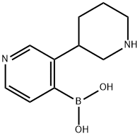 3-(Piperidin-3-yl)pyridine-4-boronic acid结构式
