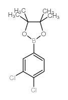 2-(3,4-Dichlorophenyl)-4,4,5,5-tetramethyl-1,3,2-dioxaborolane picture
