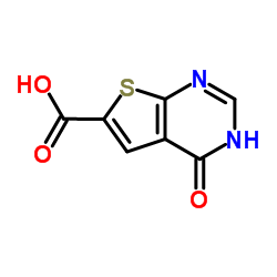4-Oxo-1,4-dihydrothieno[2,3-d]pyrimidine-6-carboxylic acid Structure