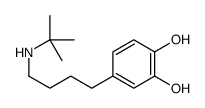 4-[4-(tert-butylamino)butyl]benzene-1,2-diol Structure