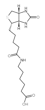 N-Biotinyl-6-aminohexanoic acid picture