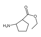 Cyclopentanecarboxylic acid, 2-amino-, ethyl ester, (1S-trans)- (9CI) structure