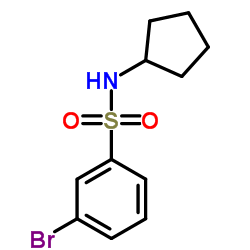 3-Bromo-N-cyclopentylbenzenesulfonamide结构式