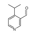 3-Pyridinecarboxaldehyde, 4-(1-methylethyl)- (9CI)结构式