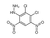 (2,3-dichloro-4,6-dinitro-phenyl)-hydrazine Structure