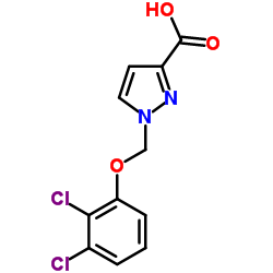 1-(2,3-DICHLORO-PHENOXYMETHYL)-1 H-PYRAZOLE-3-CARBOXYLIC ACID structure