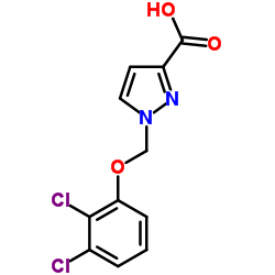 1-(2,3-DICHLORO-PHENOXYMETHYL)-1 H-PYRAZOLE-3-CARBOXYLIC ACID picture