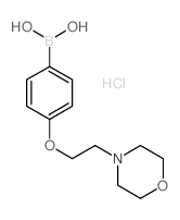 4-(2-Morpholinoethoxy)phenylboronic acid, HCl structure