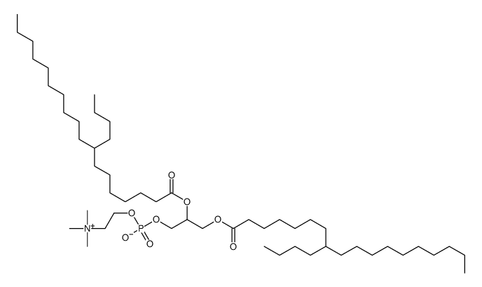 di-(8-n-butylstearoyl)phosphatidylcholine Structure