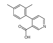 4-(2,4-dimethylphenyl)pyridine-3-carboxylic acid结构式
