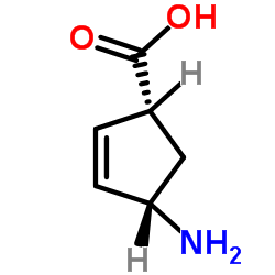 (1R,4S)-4-氨基环戊-2-烯甲酸结构式