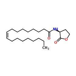 (9Z)-N-[(3S)-2-Oxotetrahydro-3-furanyl]-9-octadecenamide structure