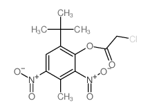 6-tert-Butyl-2, 4-dinitro-3-methylphenyl chloroacetate Structure