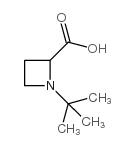 1-叔丁基-2-氮杂丁烷羧酸结构式