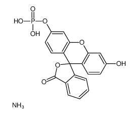 FMP structure