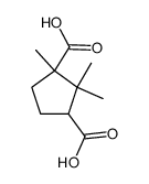 camphoric acid Structure