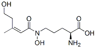 (2S)-2-Amino-5-[N-hydroxy-N-[(Z)-4-hydroxy-2-methyl-1-butenylcarbonyl]amino]valeric acid Structure