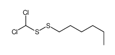 1-(dichloromethyldisulfanyl)hexane Structure